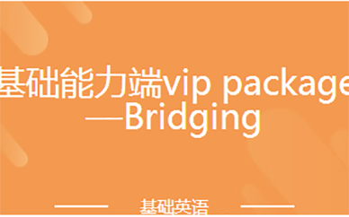 基础能力端vip package—Bridging