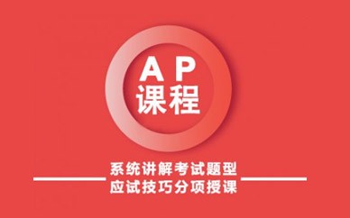 济南新通教育AP培训课程