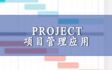 上海启明 MS Project 高级应用
