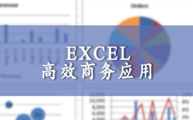 上海启明 Microsoft Excel 高效商务应用