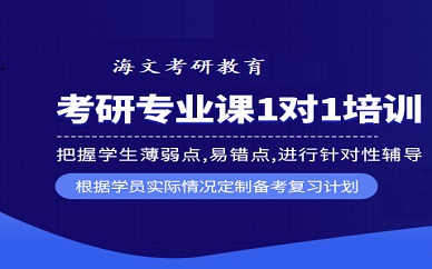 郑州海文考研2022考研一对一特训英语数学政治专业课课程
