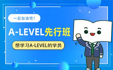 南京新东方A-LEVEL国际课程先行班培训