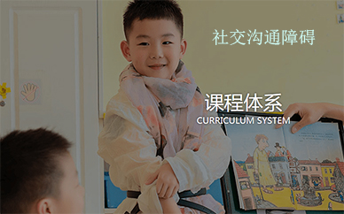 北京雅恩辅育儿童社交沟通障碍康复培训班
