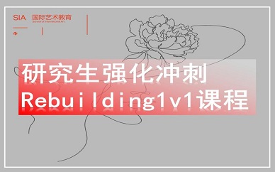 南京SIA留学研究生强化冲刺Rebuilding1v1课程