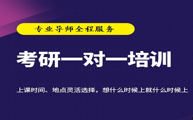 重庆海文考研2022考研一对一特训英语数学政治VIP课程